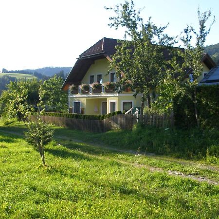 Ferienhaus Mehlhartl Villa Tamsweg Buitenkant foto